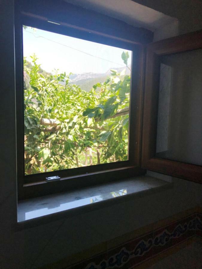 Il Limoneto Di Teresa Amalfi Coast Leilighet Maiori Eksteriør bilde